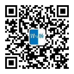 《胃与肠》中文版