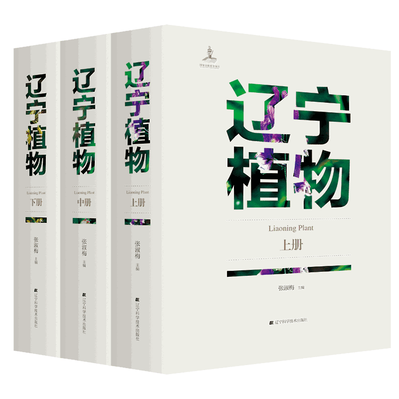 辽宁科学技术出版社在中华文化国际传播领域再创佳绩，荣登两项重要榜单！